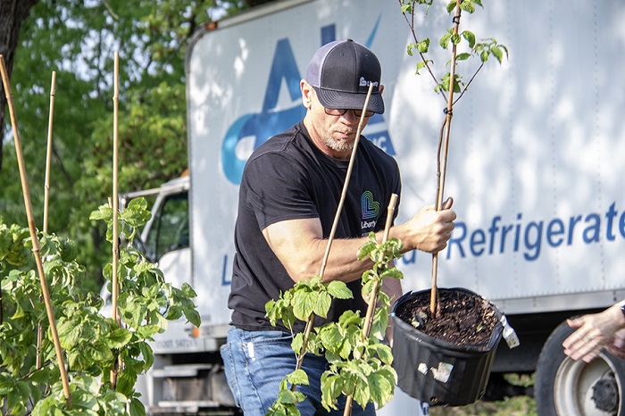 The Forest is With Us: Arbor Day Foundation Endor(ses) Liberty’s annual tree giveaway