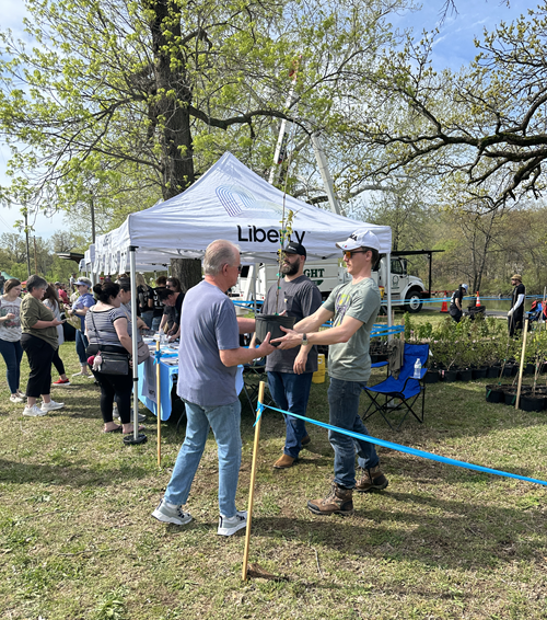 Planting a new tree? Here are some tips to help it thrive